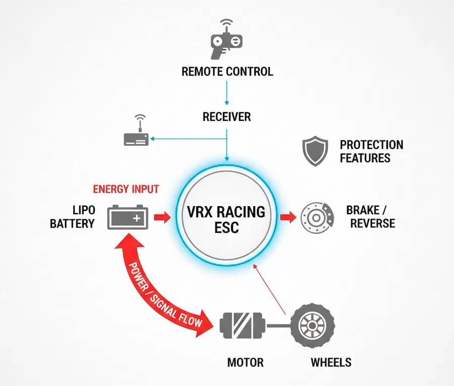 What is an ESC? The Brain of Your RC Car Explained What is an ESC? The Brain of Your RC Car Explained